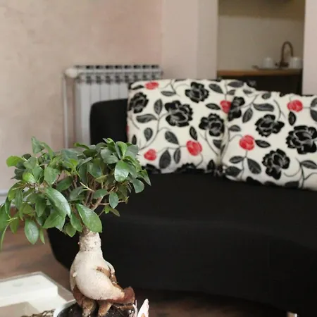 Stan Na Dan * Kruševac