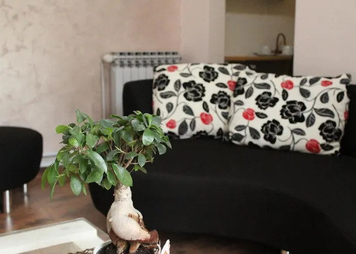 Stan Na Dan * 쿠르셰바츠